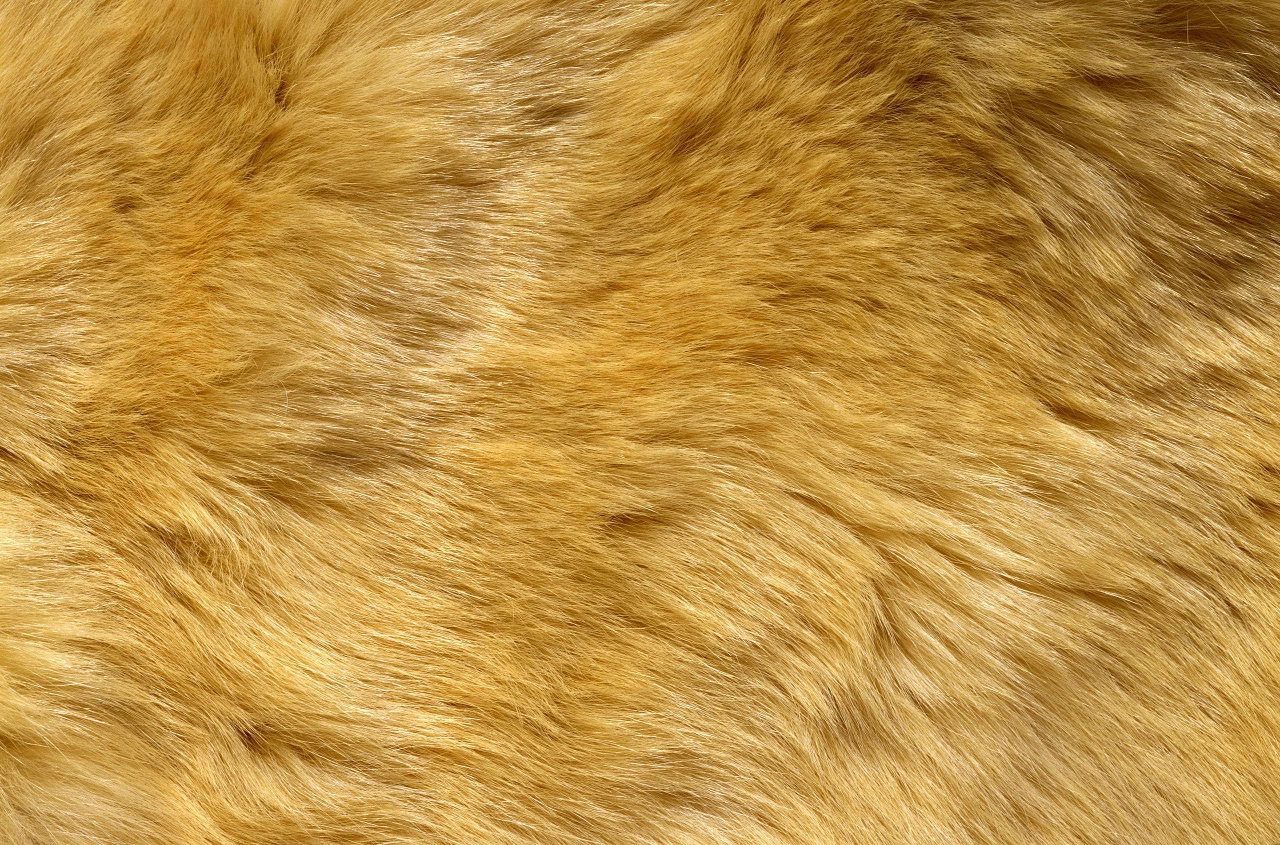 Animal Fur Wallpaper On