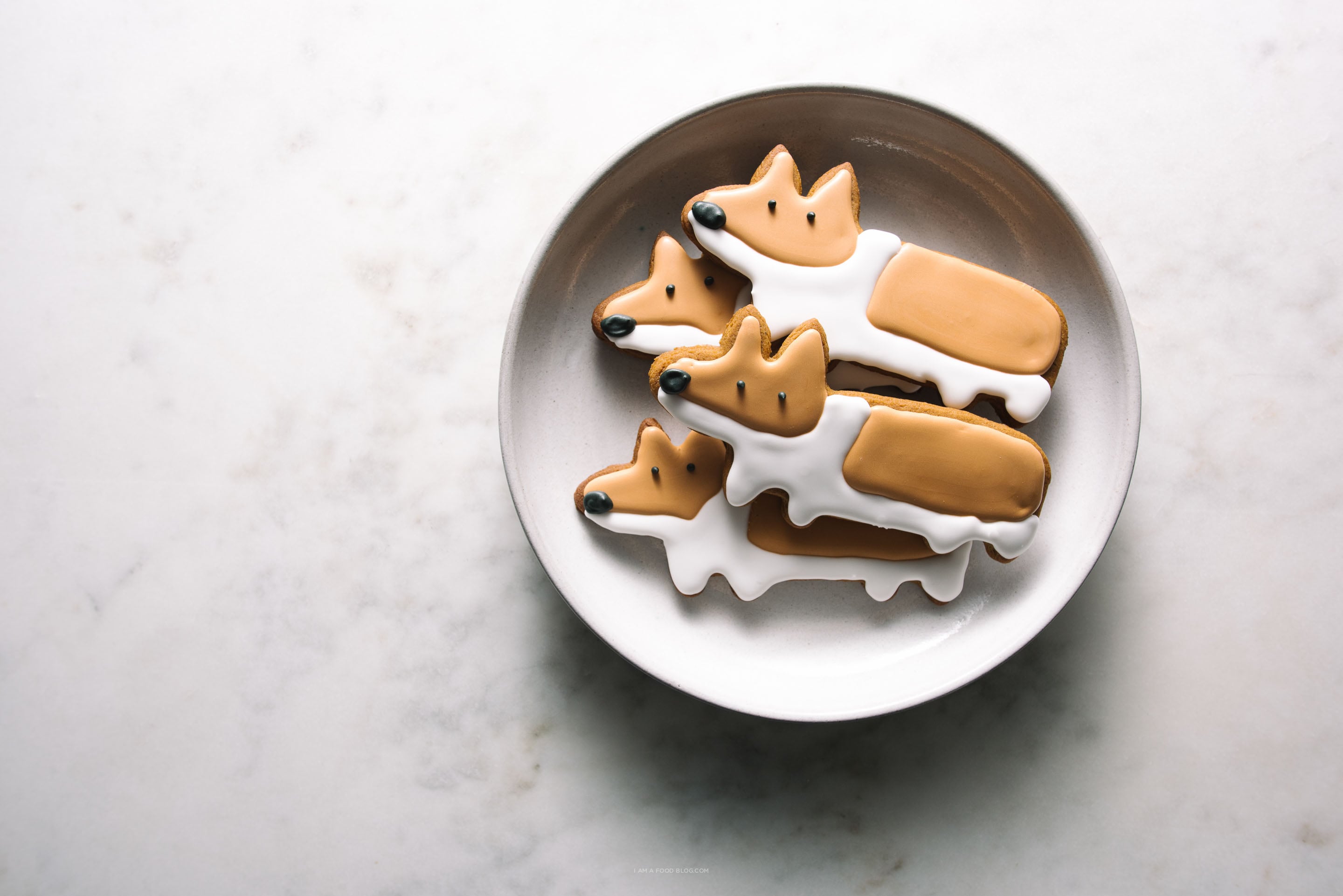 Corgi Wallpaper Animal Hq Picture
