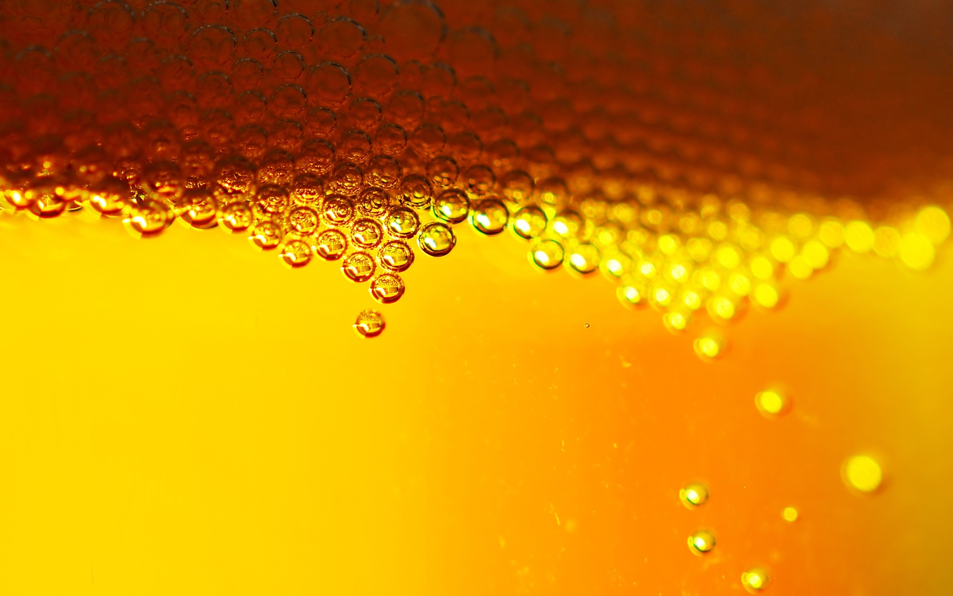 Beer Bubbles wallpapers Beer Bubbles stock photos
