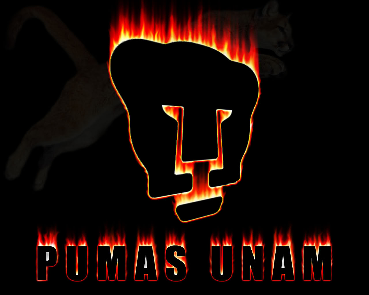 Pumas Unam Wallpaper Picswallpaper Club Universidad