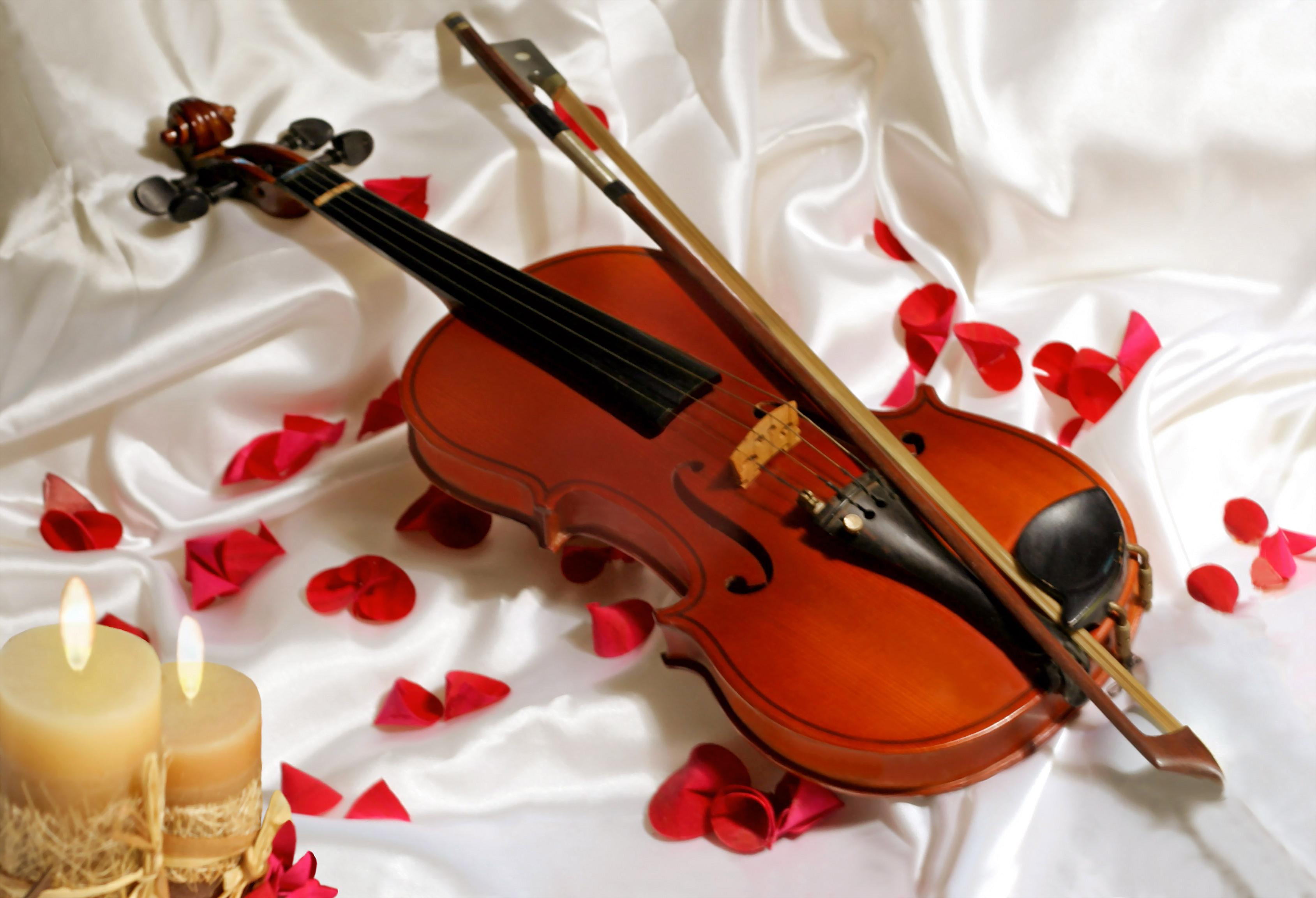 Download Latest HD Wallpapers of , Music, Free Violin