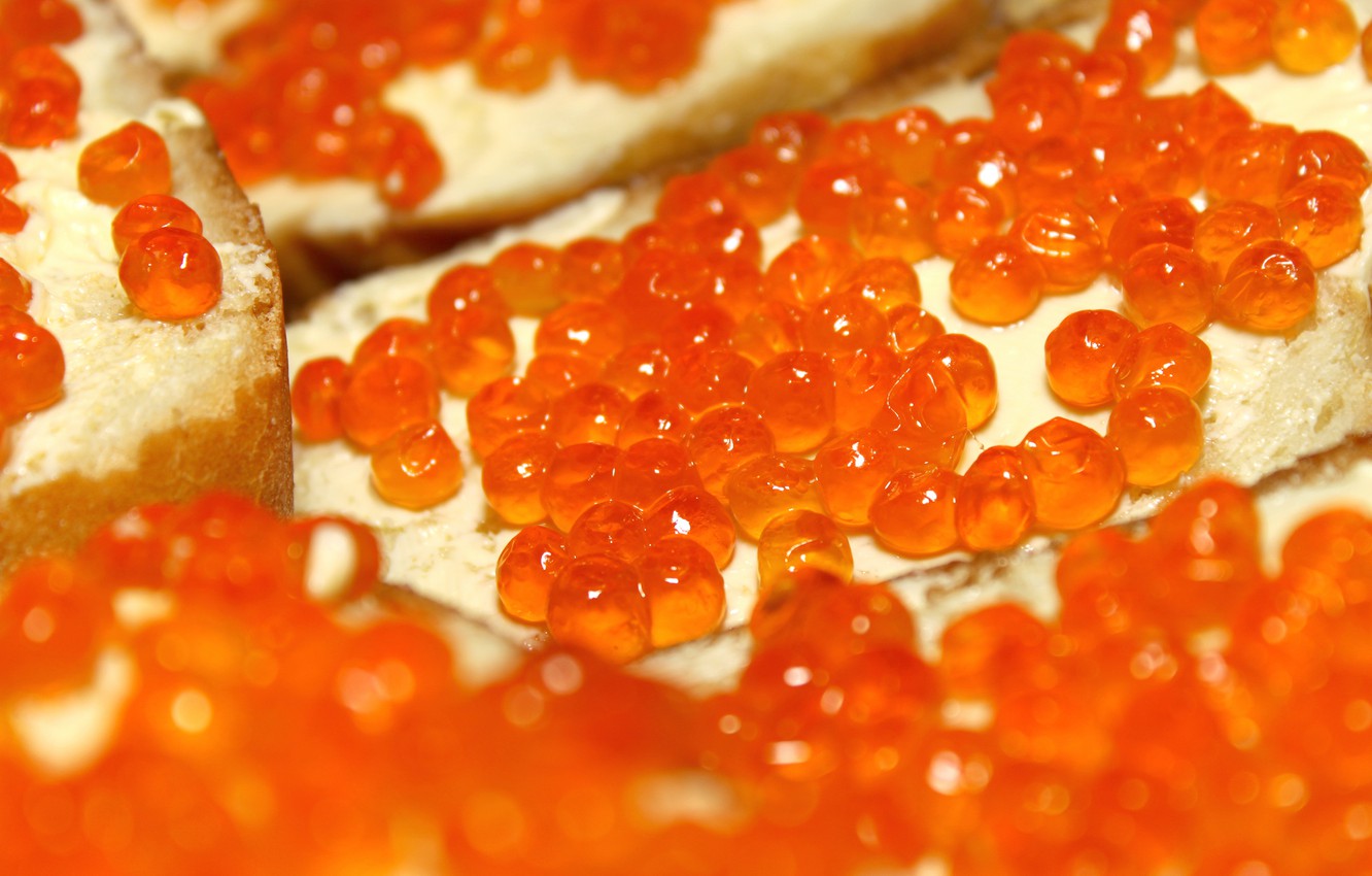 Wallpaper Macro Oil Bread Caviar Image For Desktop Section