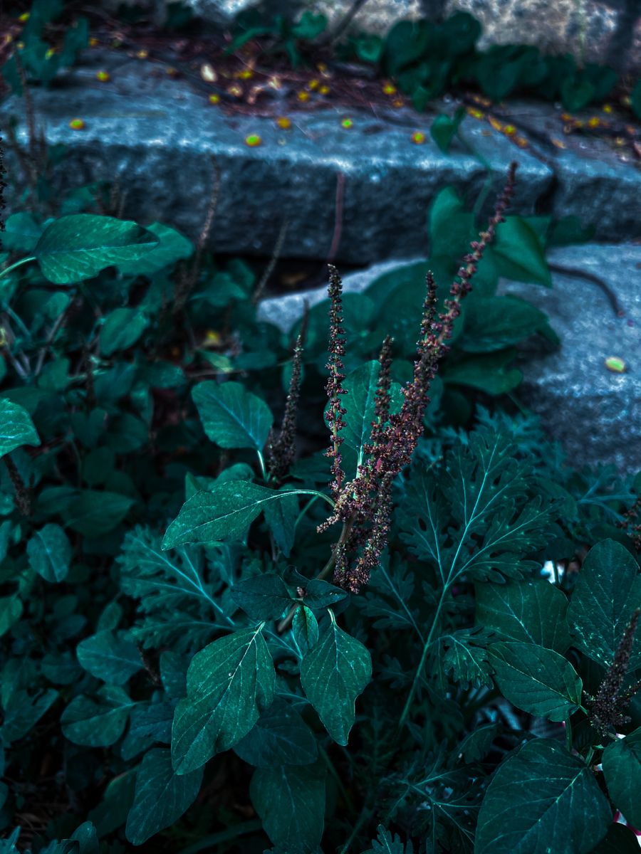 Aesthetic Moody Wallpaper