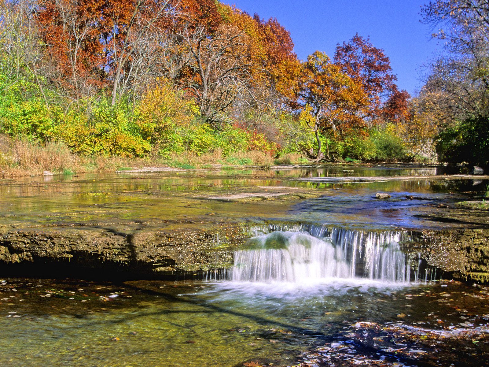 Prairie Creek Falls In Autumn Will County Illinois