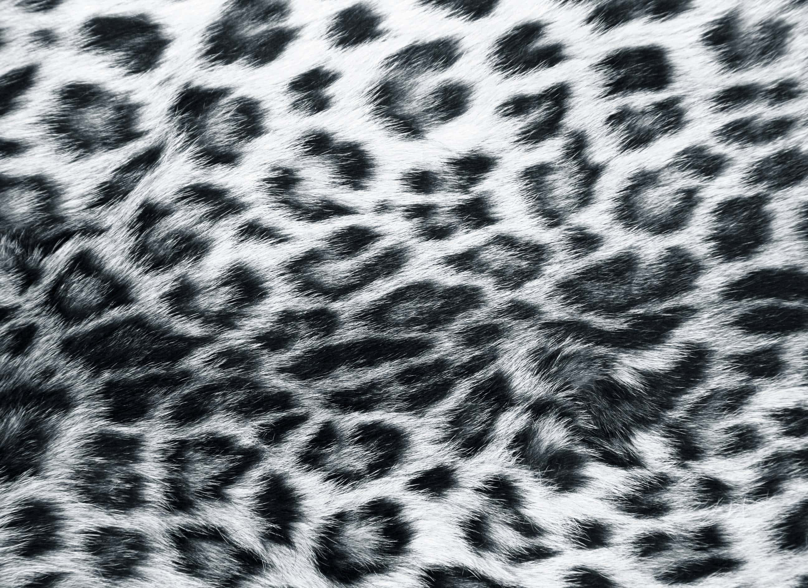 Black And White Animal Print Wallpaper