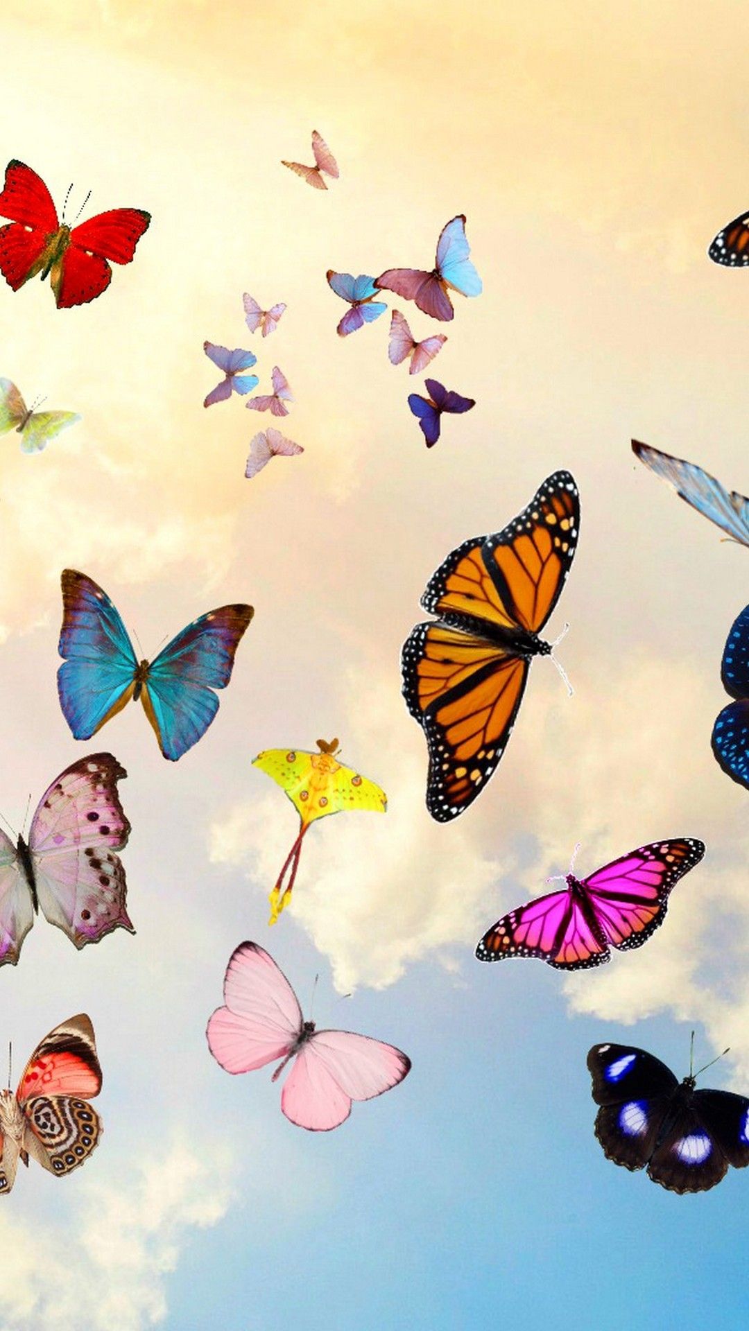 Wallpaper iPhone Ios7 Butterfly