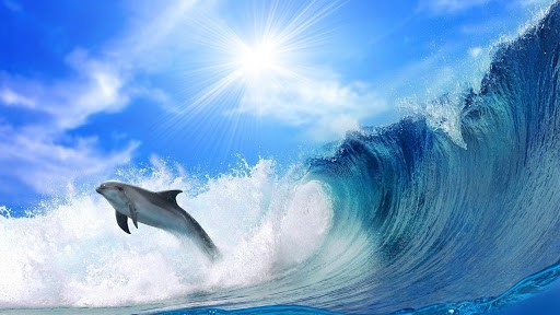 3d Ocean Wave Live Wallpaper For Android By Handysoft