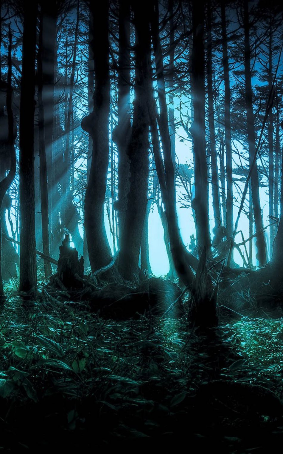 Halloween Scary Forest 4K Ultra HD Mobile Wallpaper 950x1520