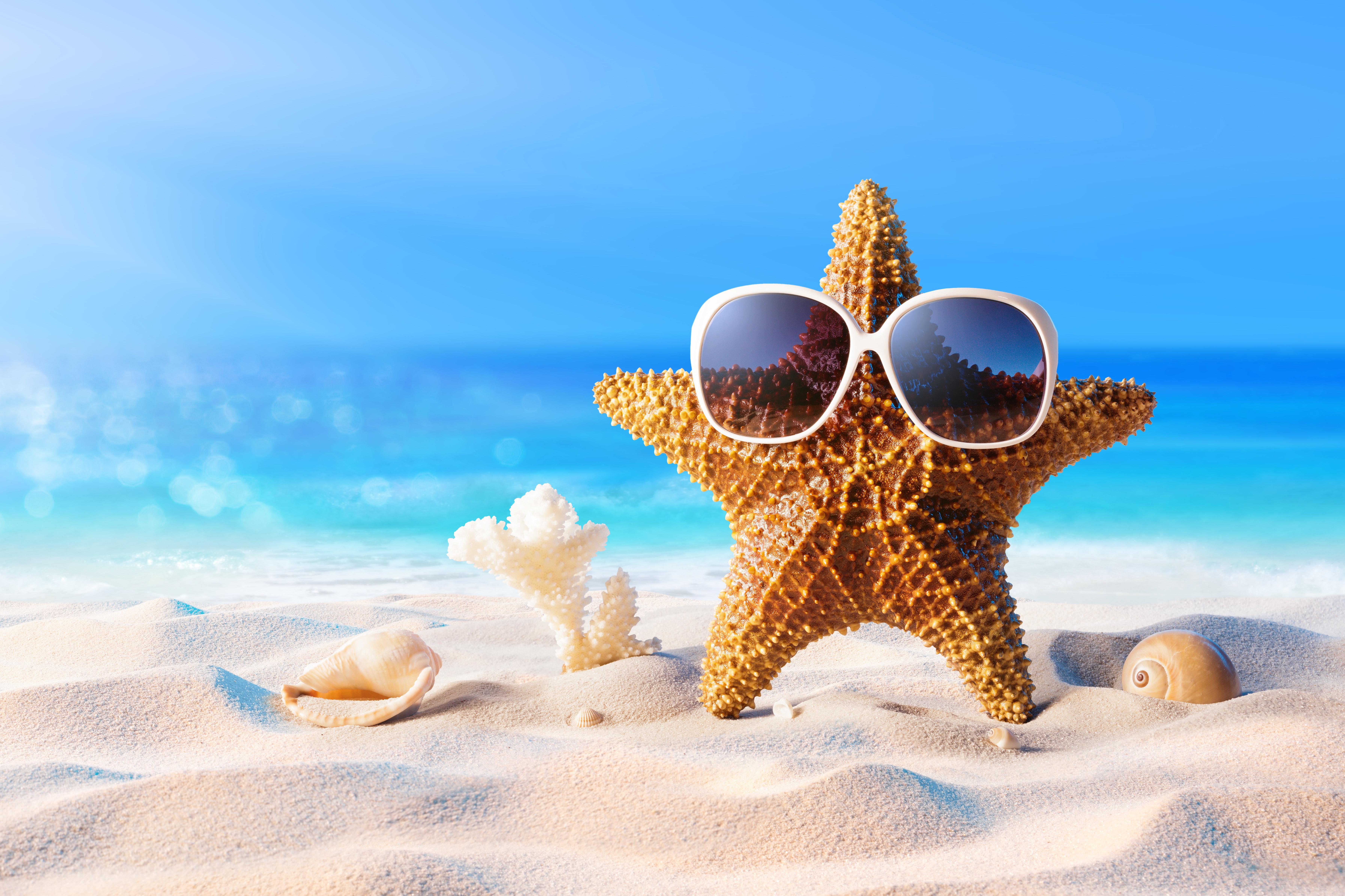 Artistic Summer 4k Ultra HD Wallpaper