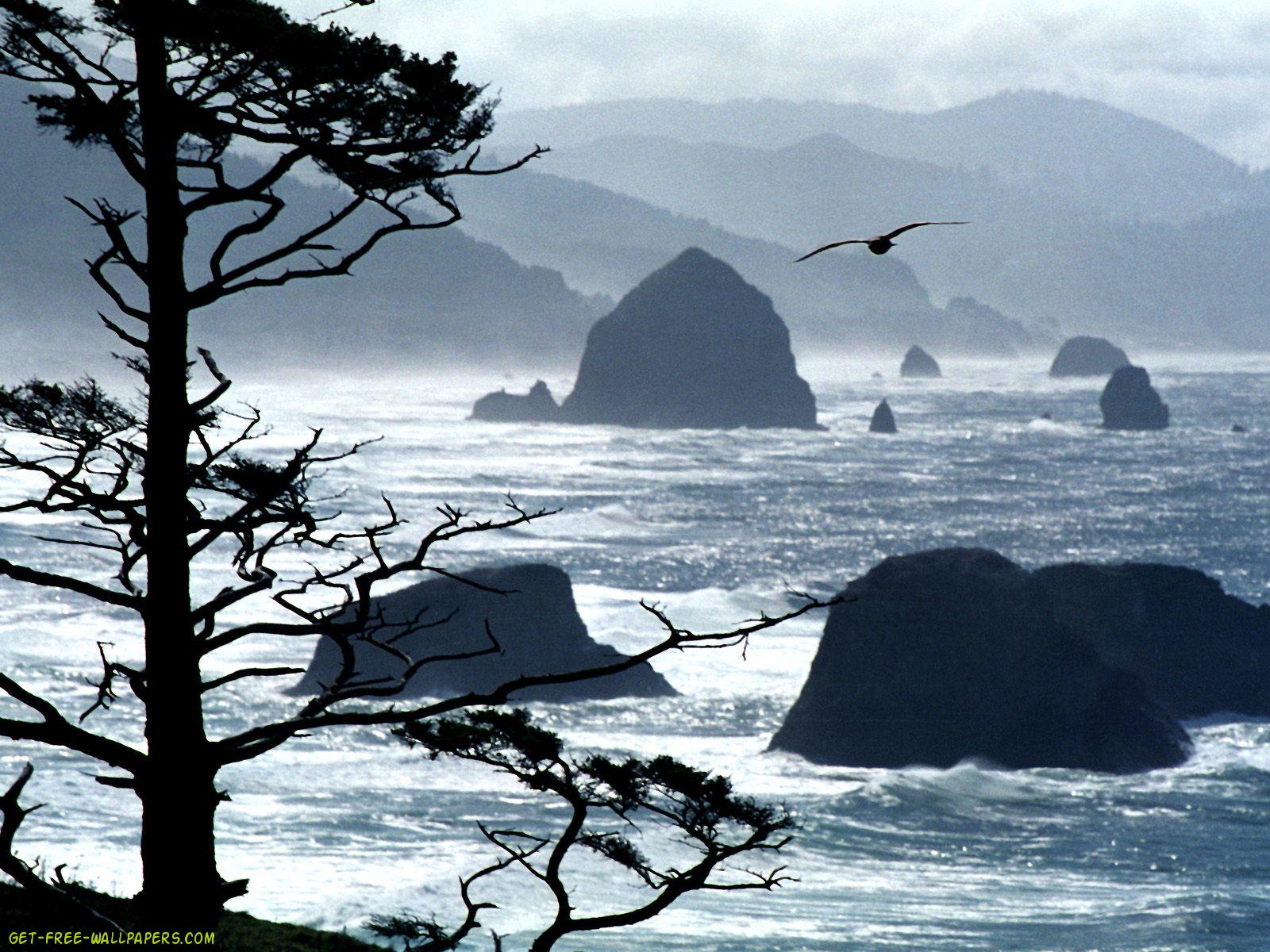 Download Ecola Point Oregon Coast Wallpaper