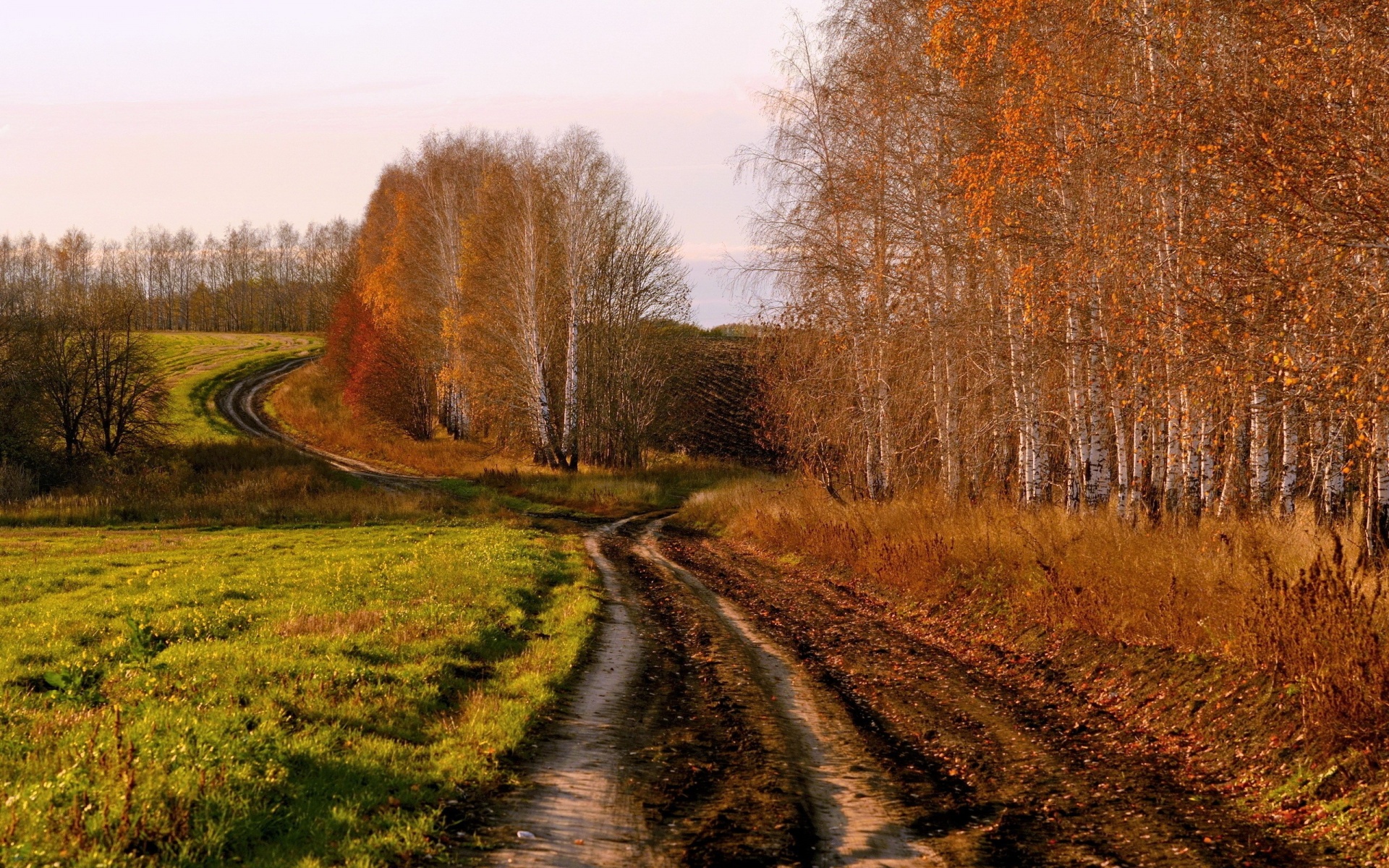 Autumn Wallpaper Country Road
