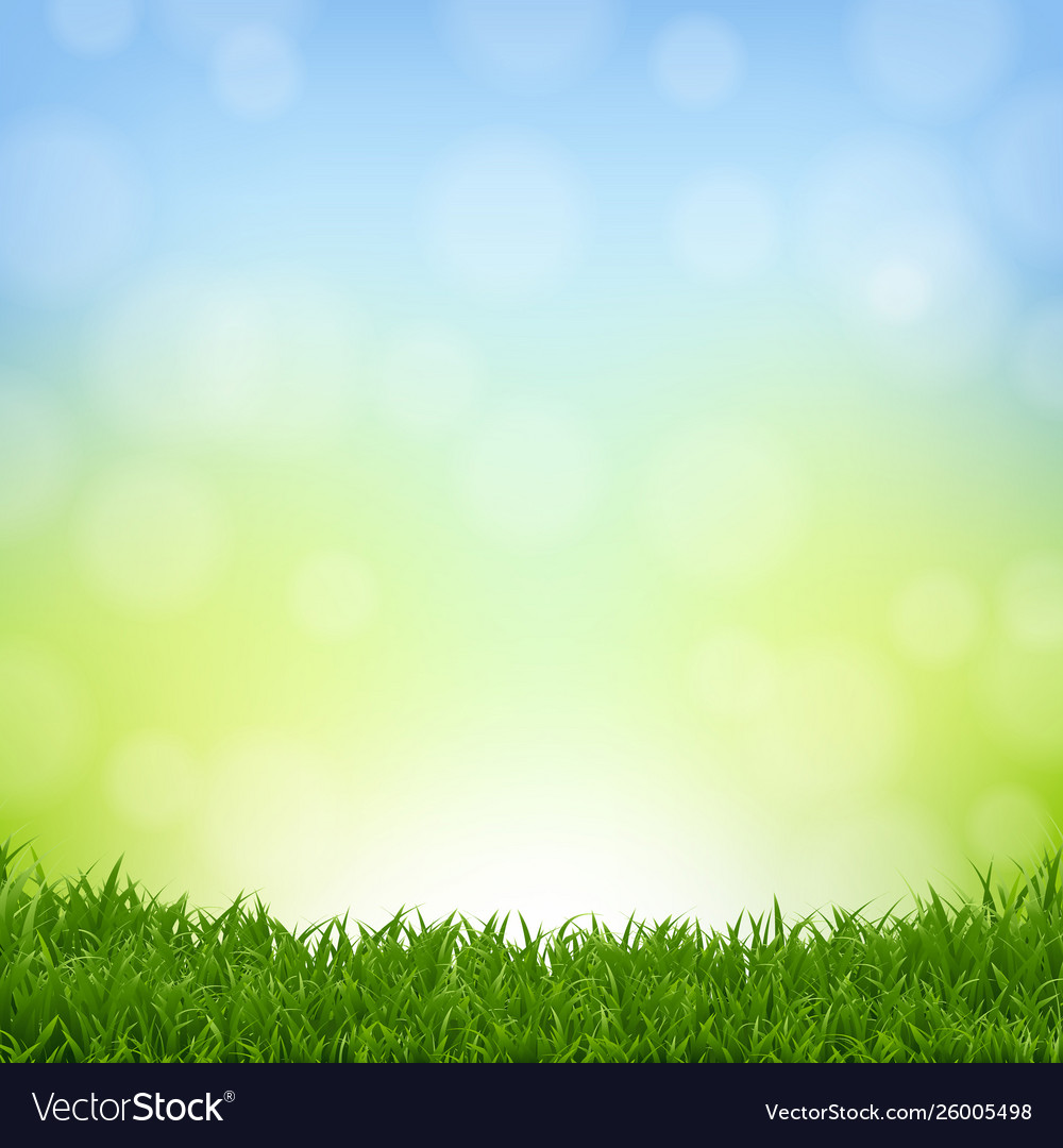 Nature background with grass border Royalty Vector 1000x1080