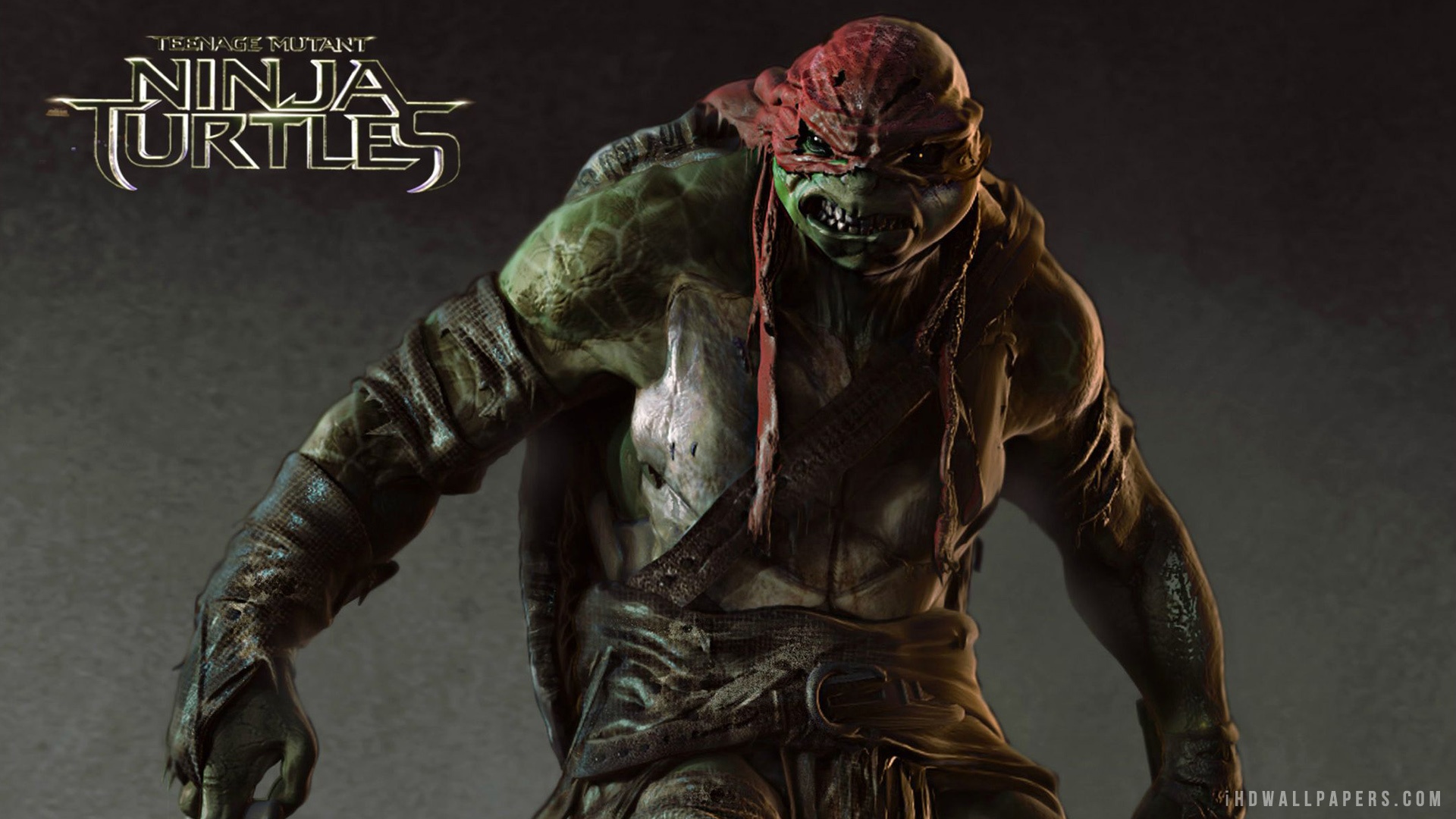 teenage mutant ninja turtles 2014 raphael
