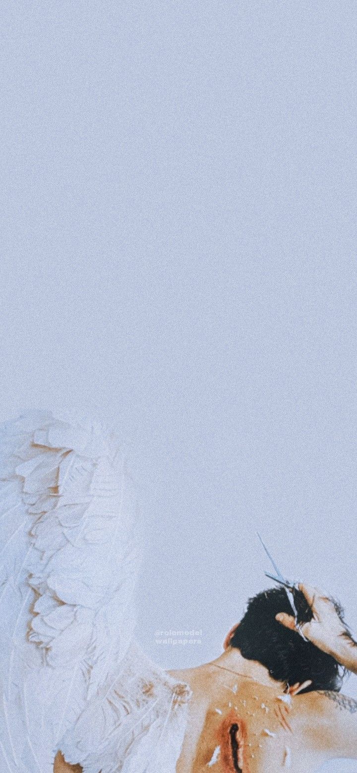Role Model Wallpaper