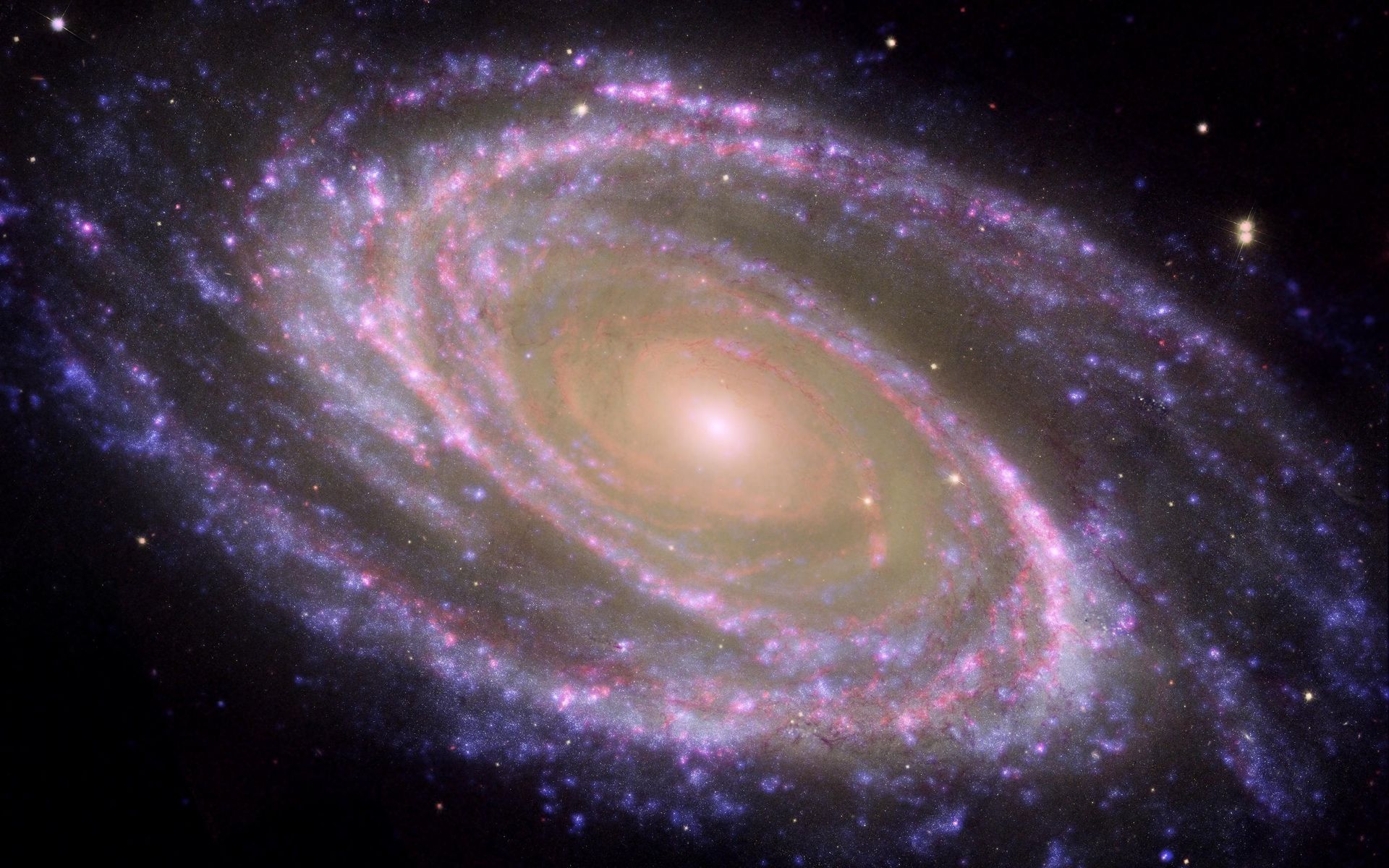 Space Image M81 Galaxy Is Pretty In Pink