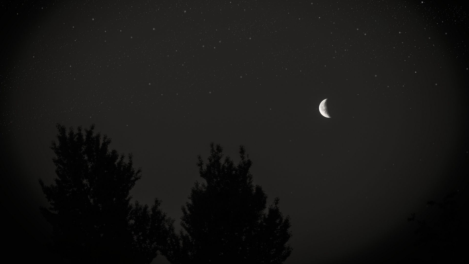Wallpaper Moon Night Sky Tree Stars Dark Full HD HDtv FHD 1080p