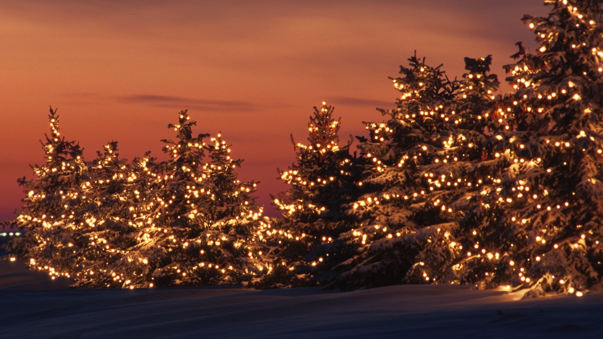 Christmas Tree Desktop Background On