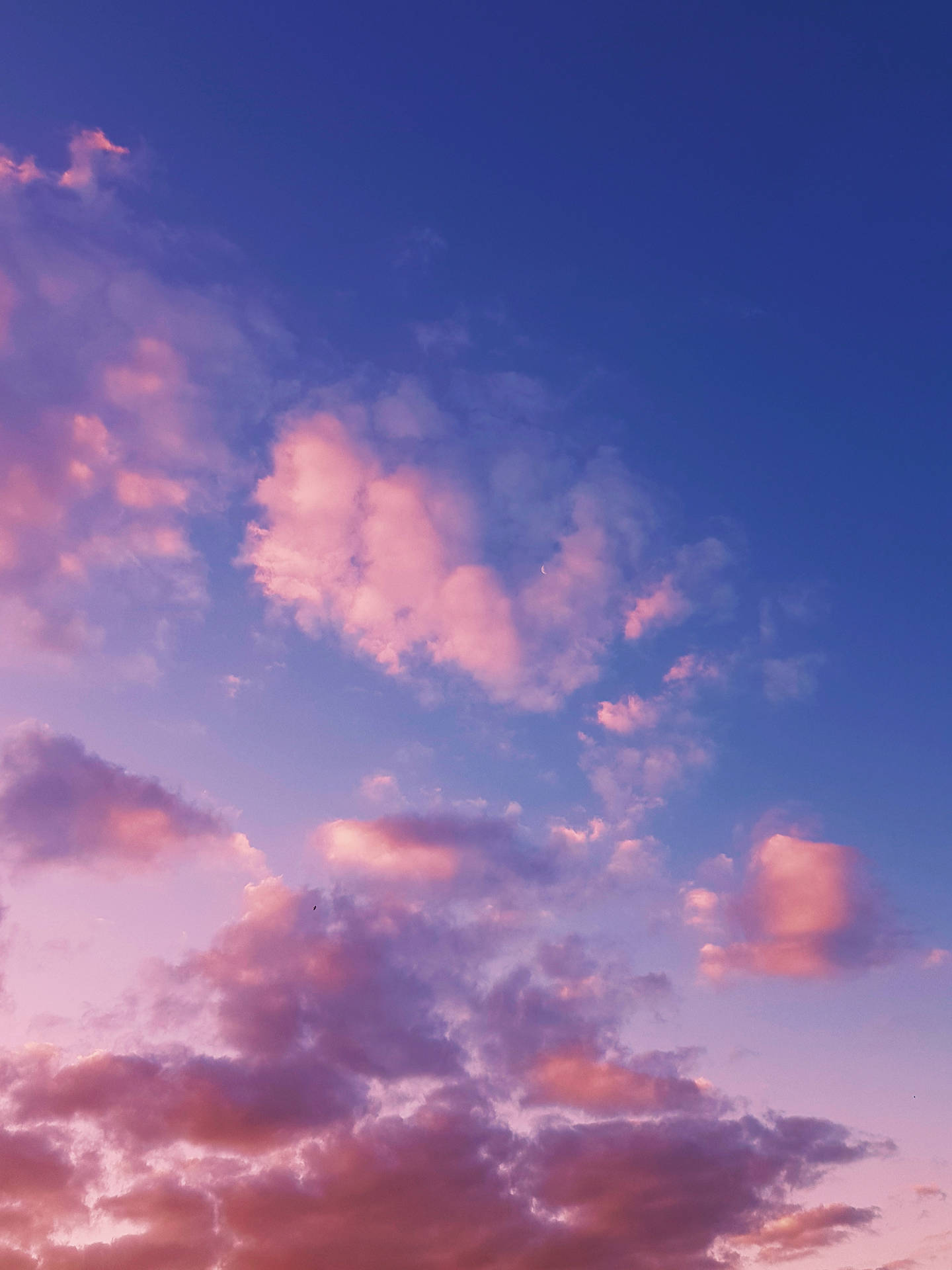 Pastel Cute Wallpaper