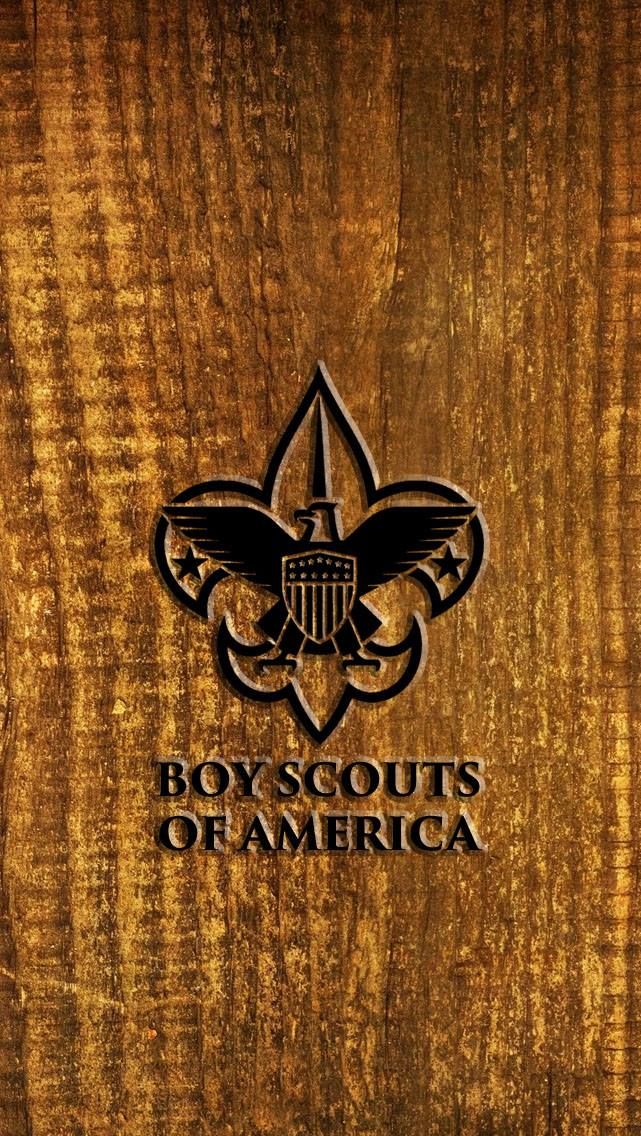 Boy Scout Logo Scouts Boys Poster