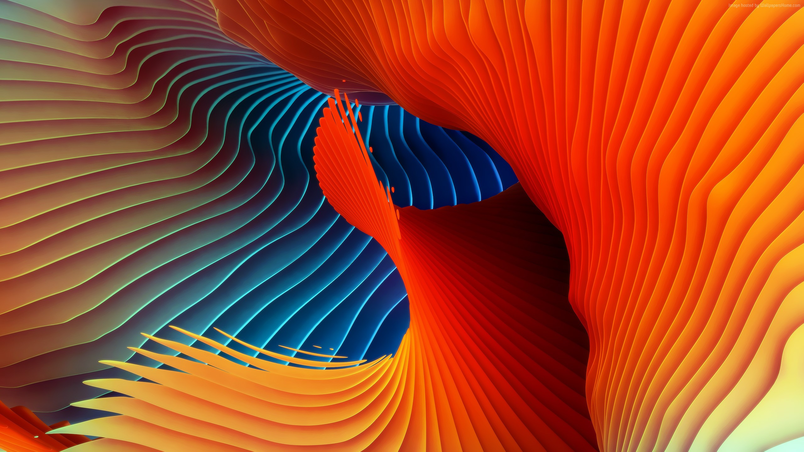 Free Download MacBook Pro Event Wallpaper OS MacBook Pro Event 2016 