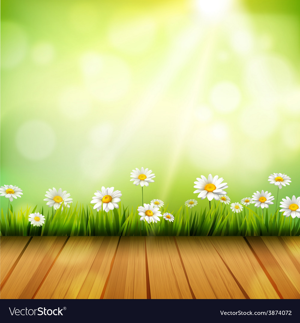 Spring Background With Daisies Royalty Vector Image