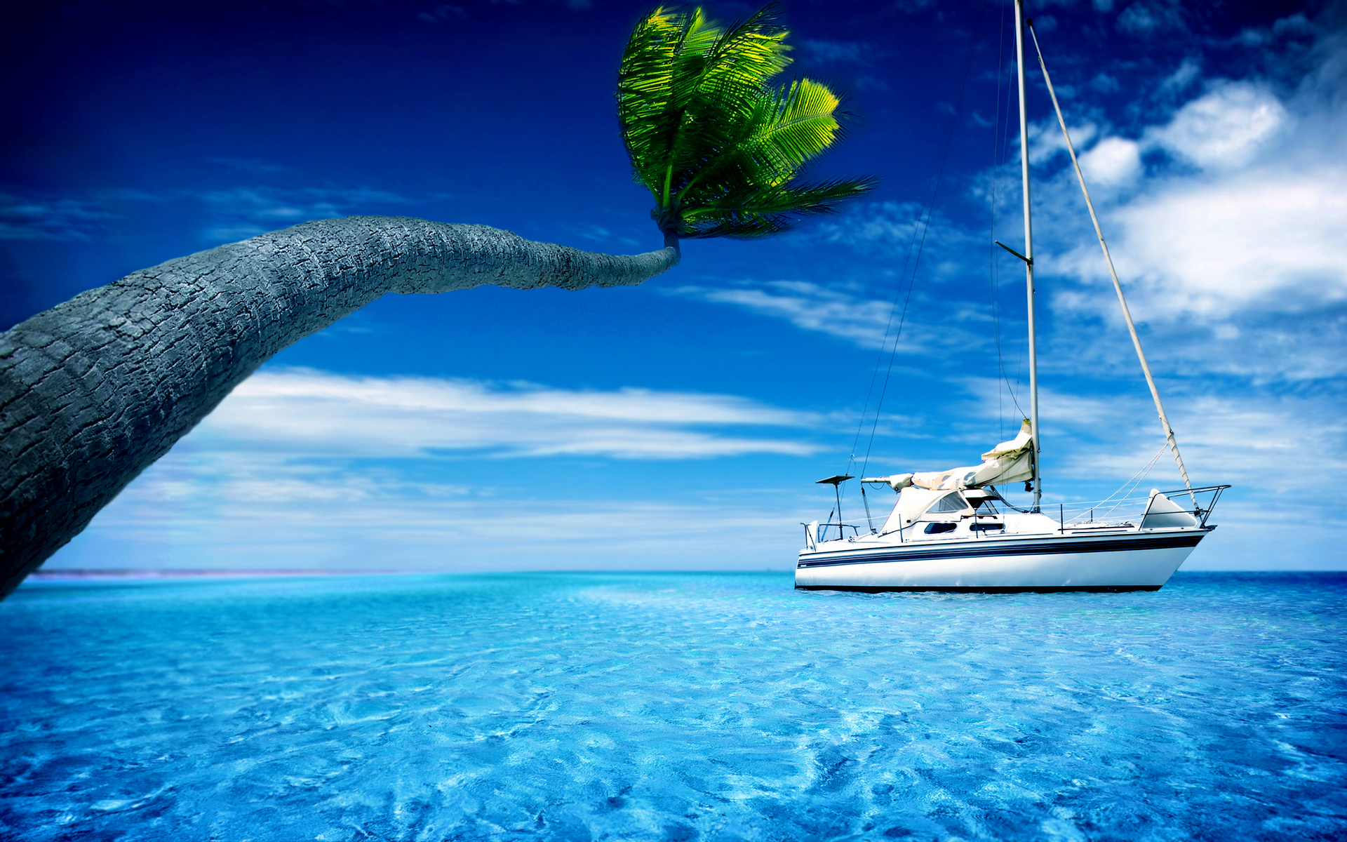 A sailboat anchored in crystal-clear turquoise water, with a leaning palm tree in the foreground, under a vibrant blue sky. Perfect summer getaway scene