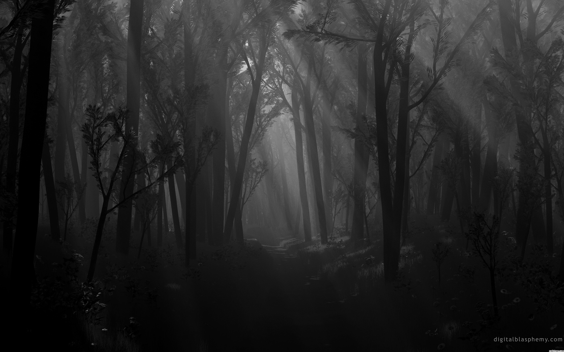 Sandbox Monochrome Spooky Paper Forest Black Trees Dark