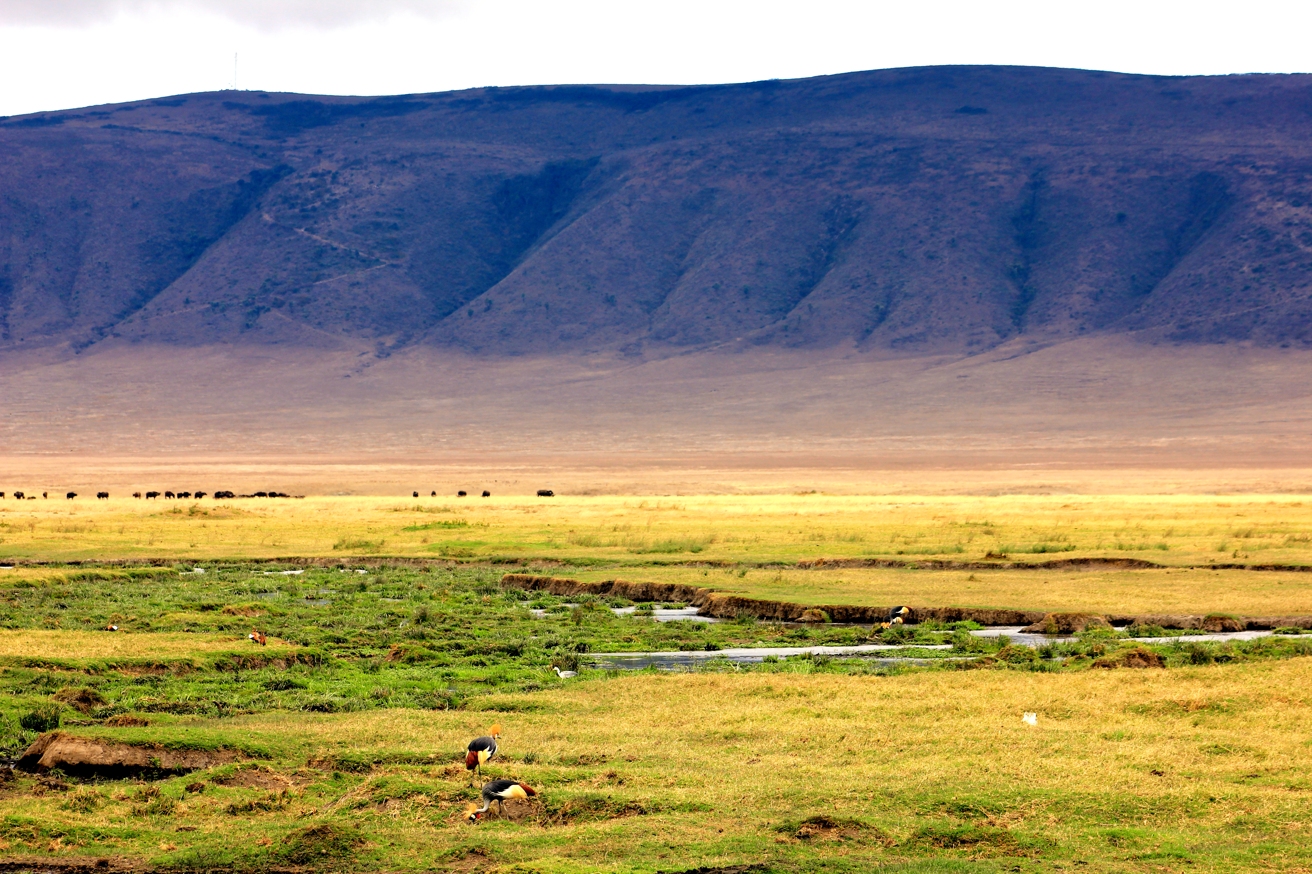 High Quality Ngorongoro Crater Wallpaper Full HD Pictures