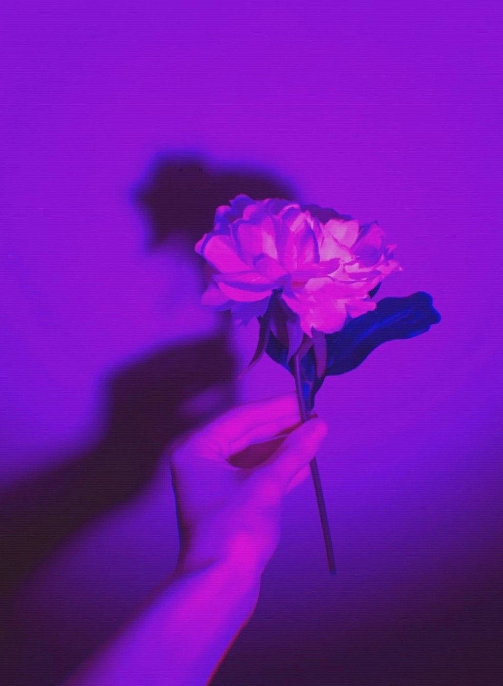 Top Dark Purple Aesthetic Wallpaper Full HD 4k To Use