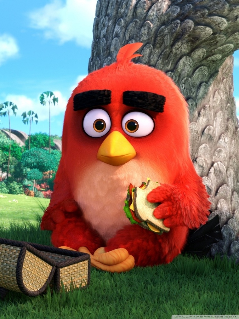 Red Angry Birds Movie 4k HD Desktop Wallpaper For