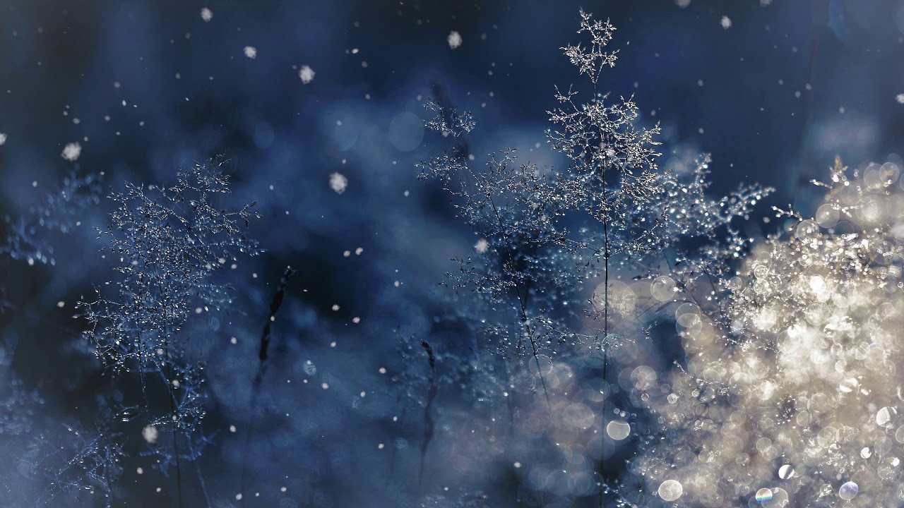 Hours 4k UHD Winter Background Snow Falling With Wind Sound