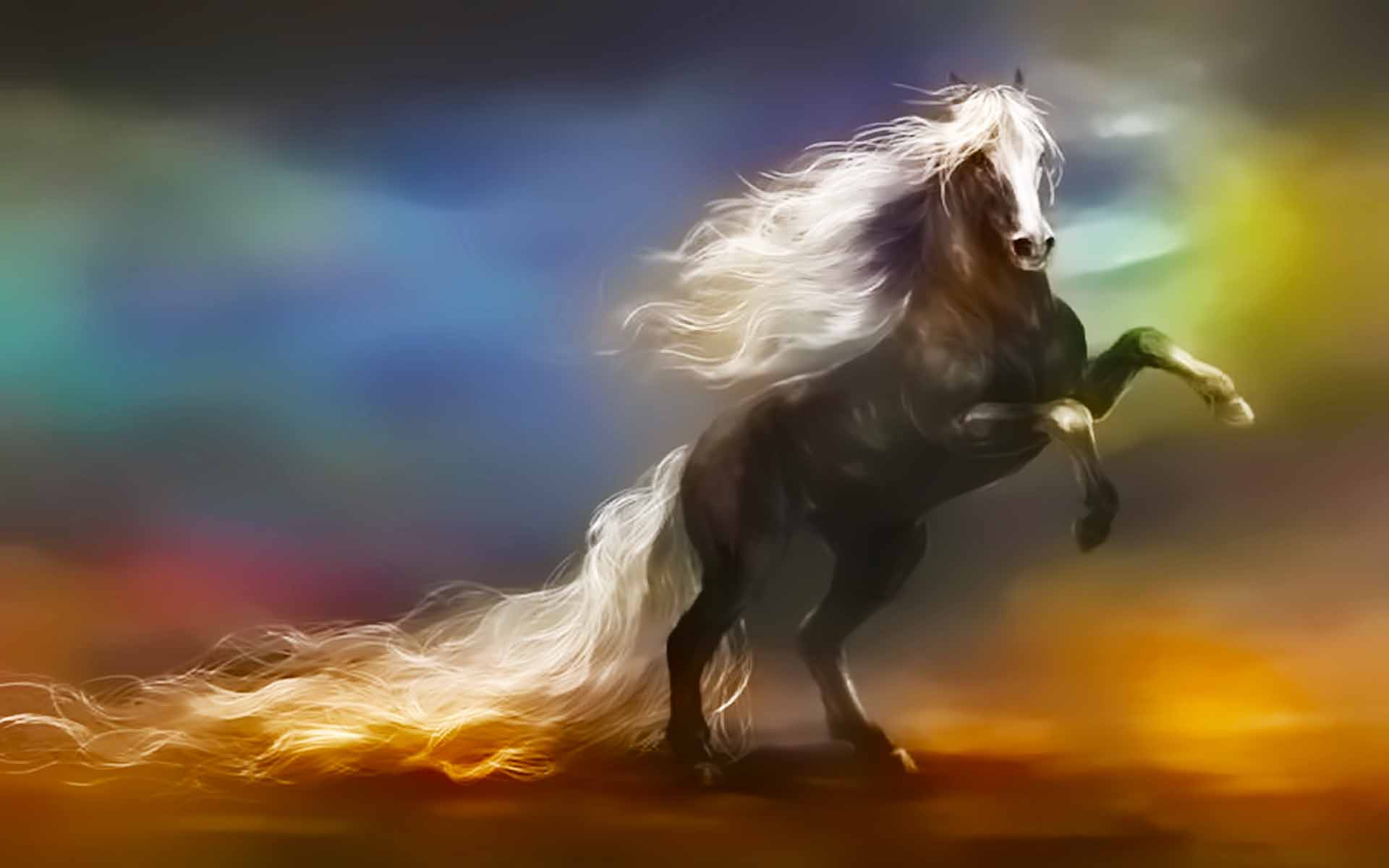 Horse wallpaper   Horse Long Tail Beauty Wallpapers   HD Wallpapers
