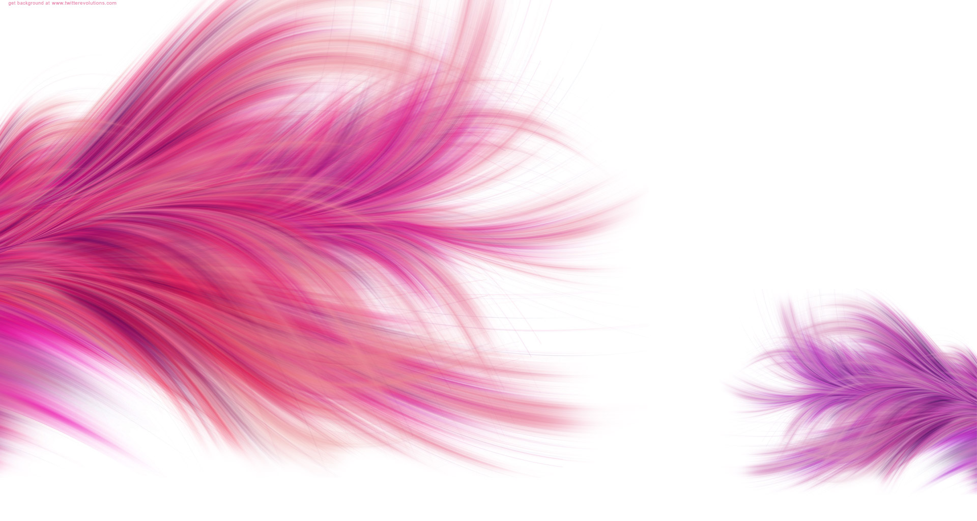 Beautiful Pink Feather Wallpaper Image With