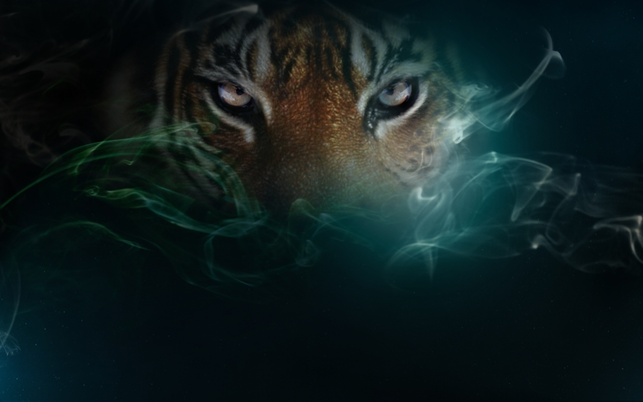 Cool Tiger Design HD Wallpaper In Space Elephant