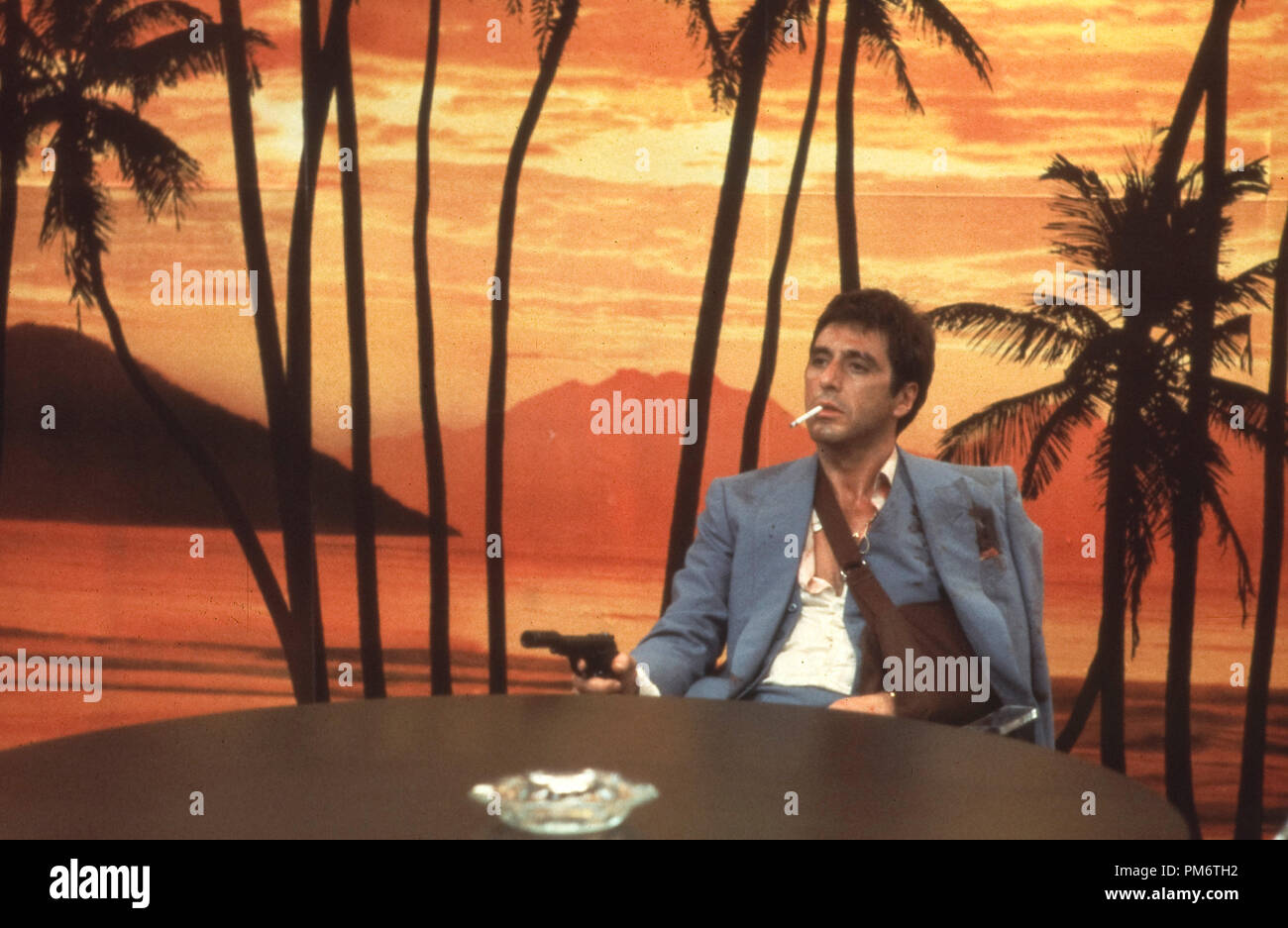 Free download Go Back Gallery For Scarface Palm Tree Wallpaper In Franks  Office 500x250 for your Desktop Mobile  Tablet  Explore 50 Scarface  Wallpaper Palm Trees  Scarface Wallpaper Palm Trees