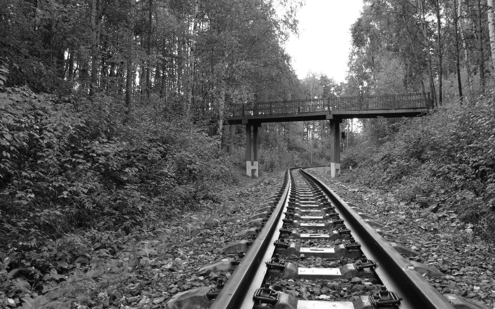 Relaxing Railroad Track Wallpaper