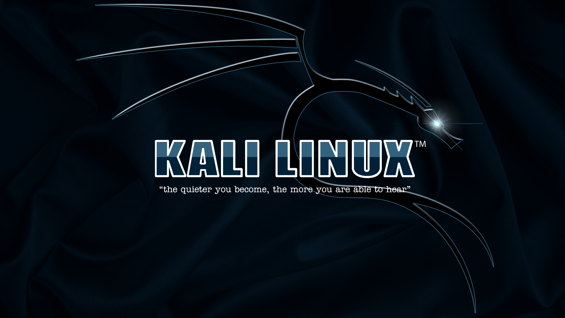Kali linux electric blue computer neon dragon HD wallpaper  Peakpx
