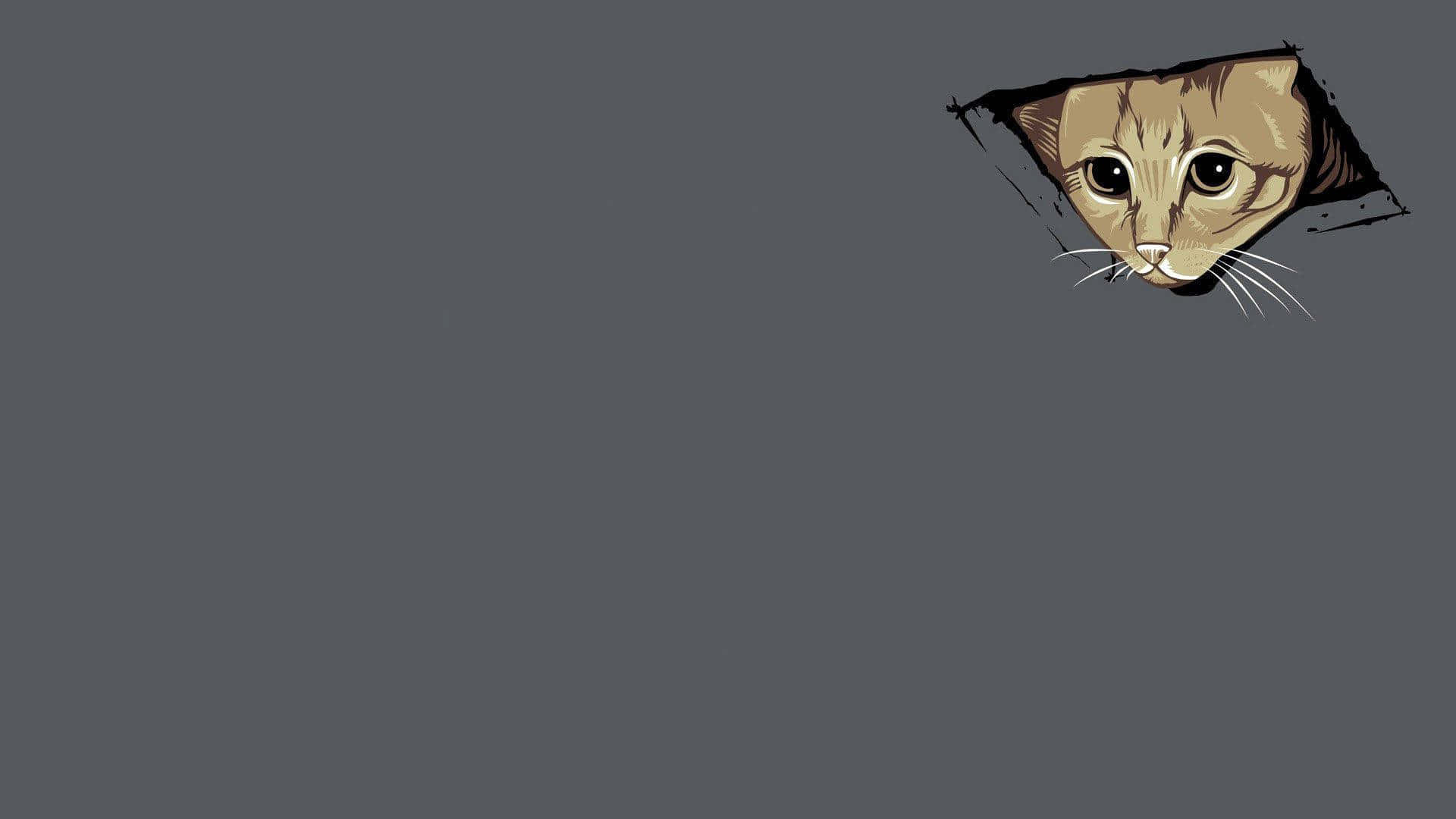 Cat Meme Wallpaper