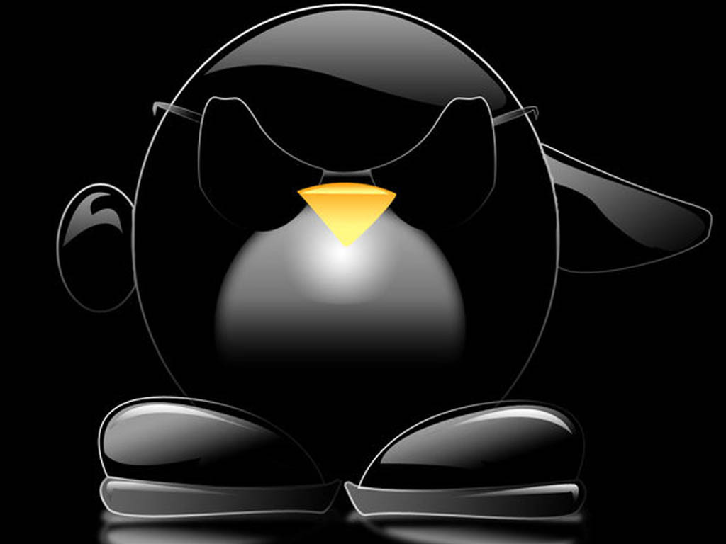 Ideales Para Los Usuarios Linuxeros Omtimo Wallpaper Linux
