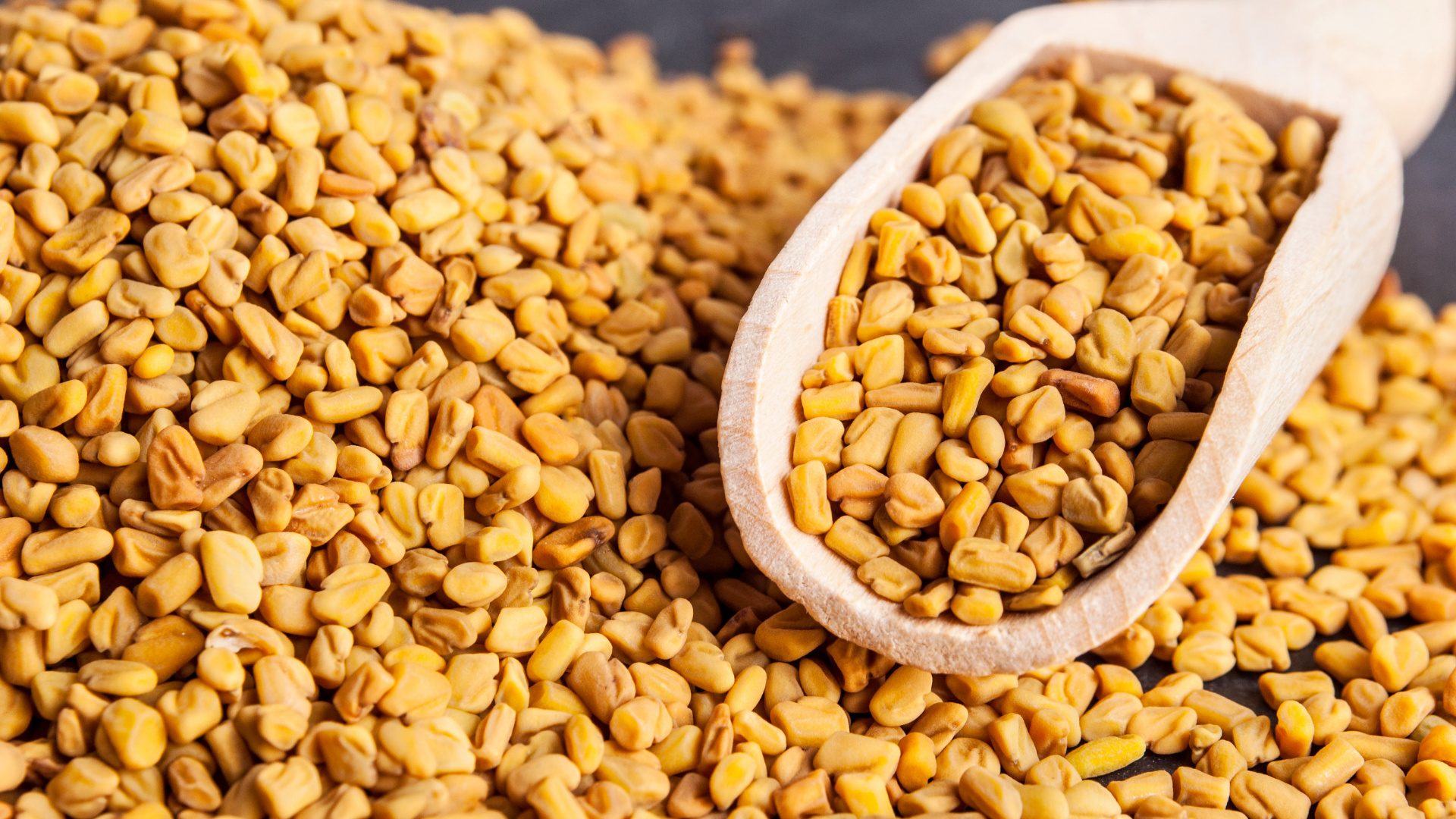 Fenugreek Wallpaper