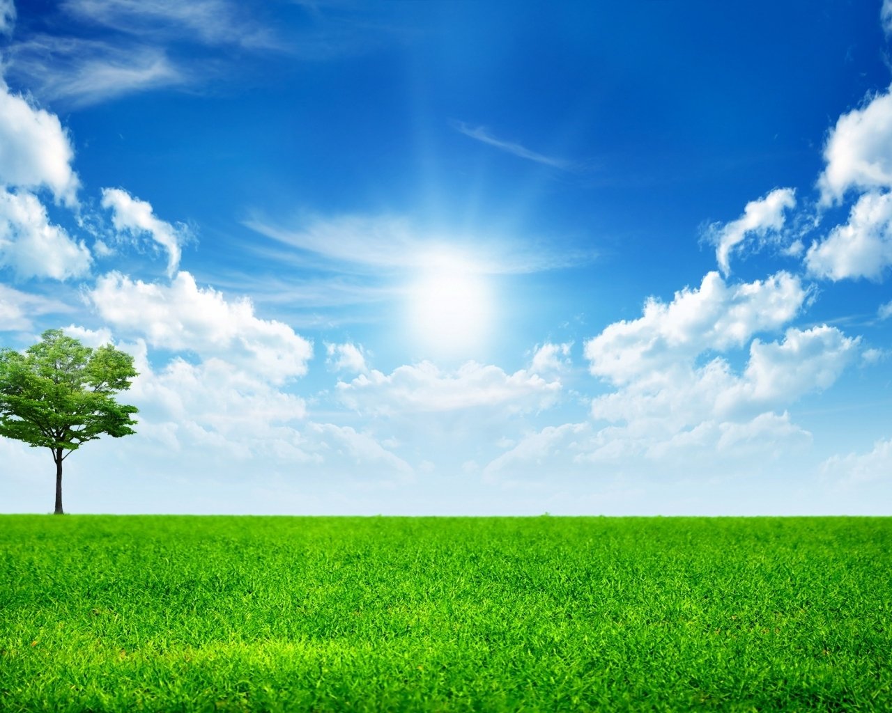 Sunny Bright Day Nature HD Wallpaper