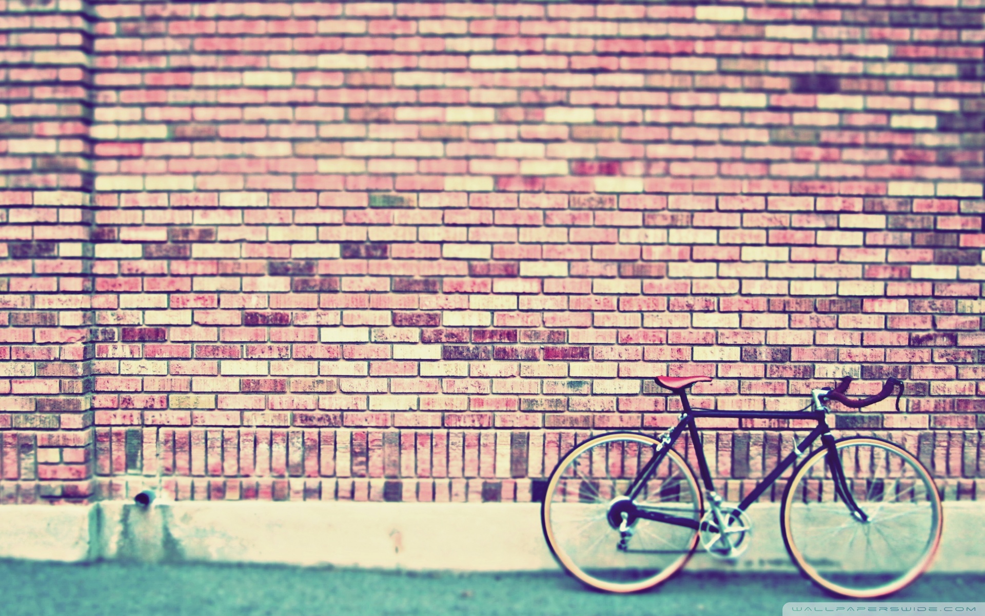Wallpaper Background