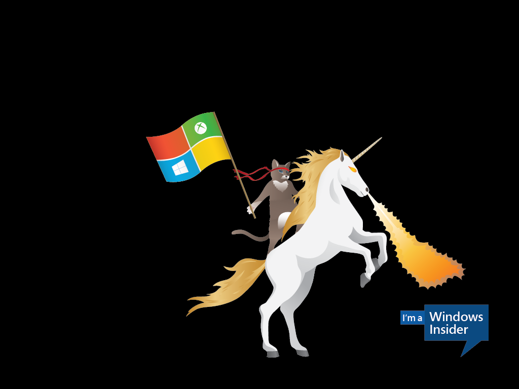 The Windows Ninjacat Meme With New Microsoft Desktop Wallpaper