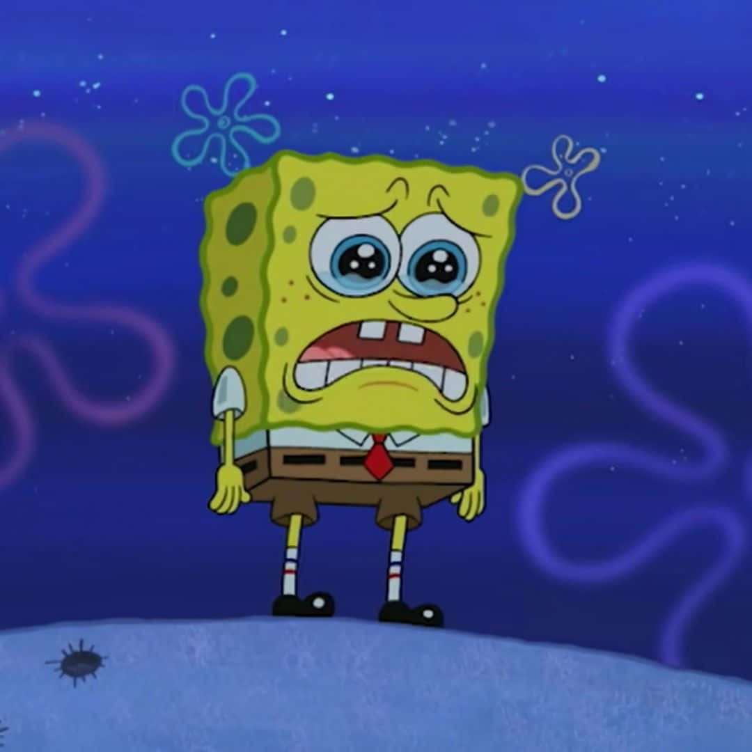 Sad Spongebob Wallpaper