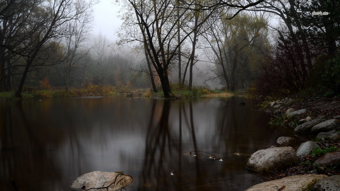 Foggy forest lake wallpaper   Nature wallpapers   24914