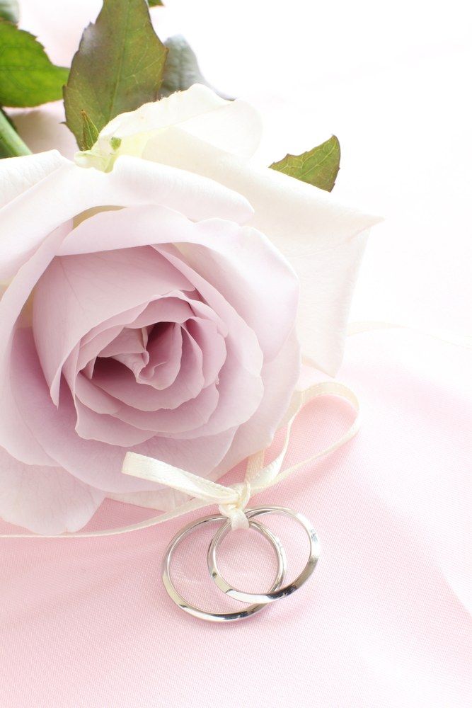 Pair Of Wedding Rings With Pastel Purple Rose For Background Image