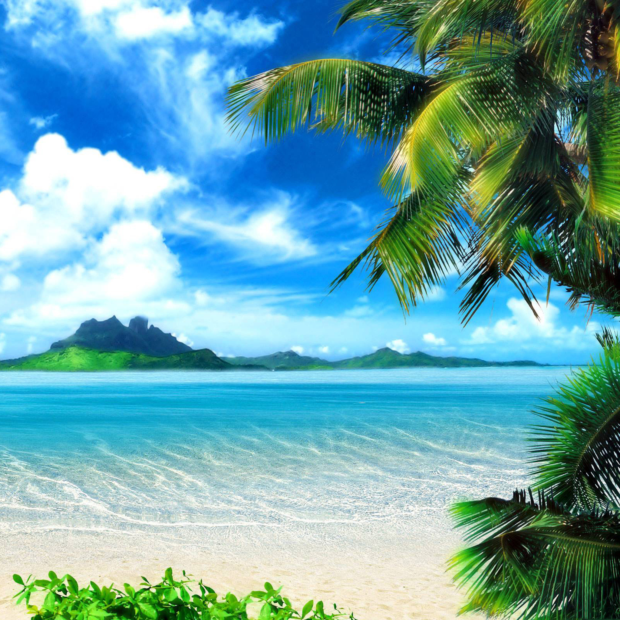 Summer Beach Wallpaper I17 HD iPad