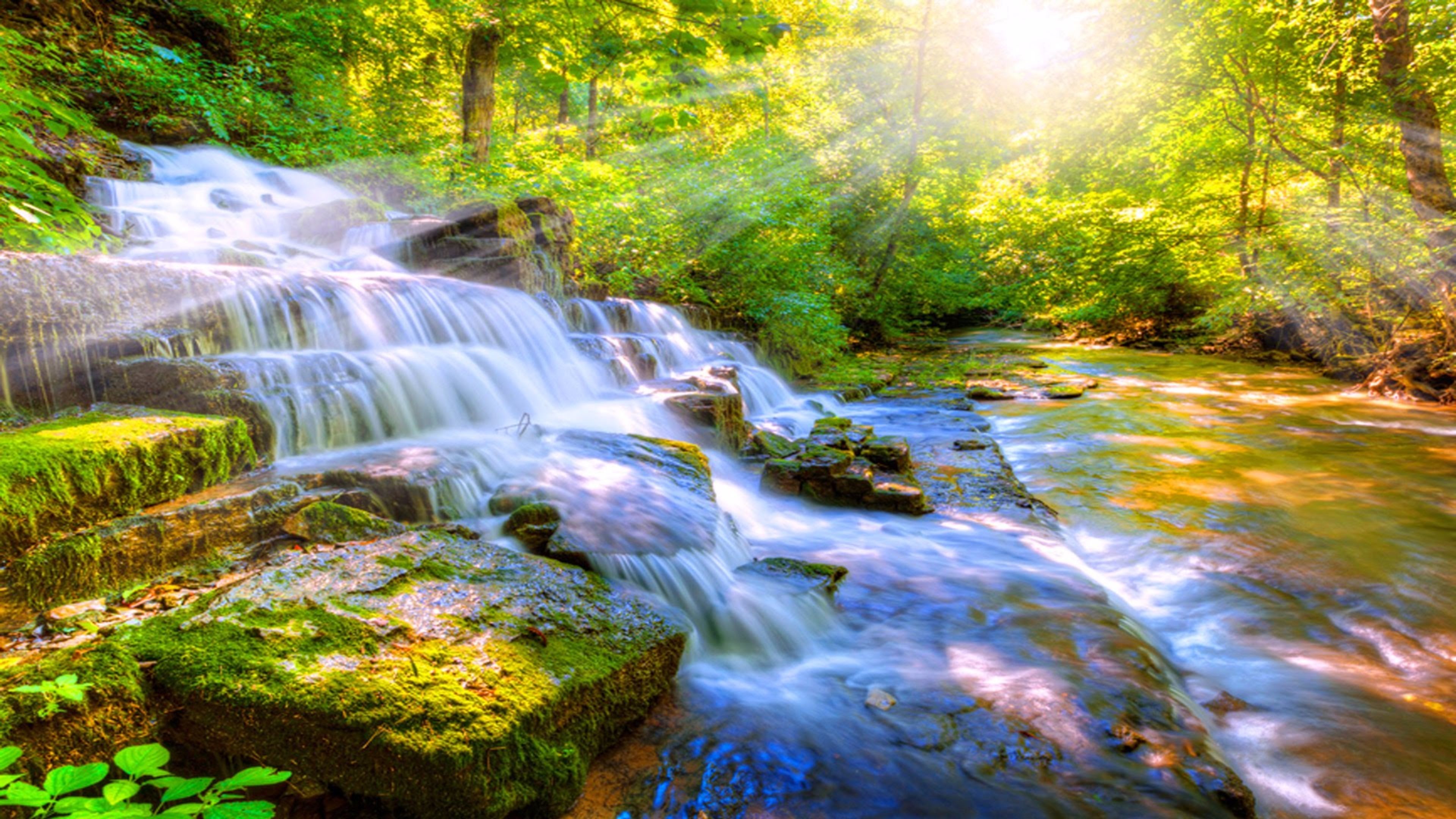 Sunlight streams through trees onto a cascading waterfall and flowing stream in a lush forest