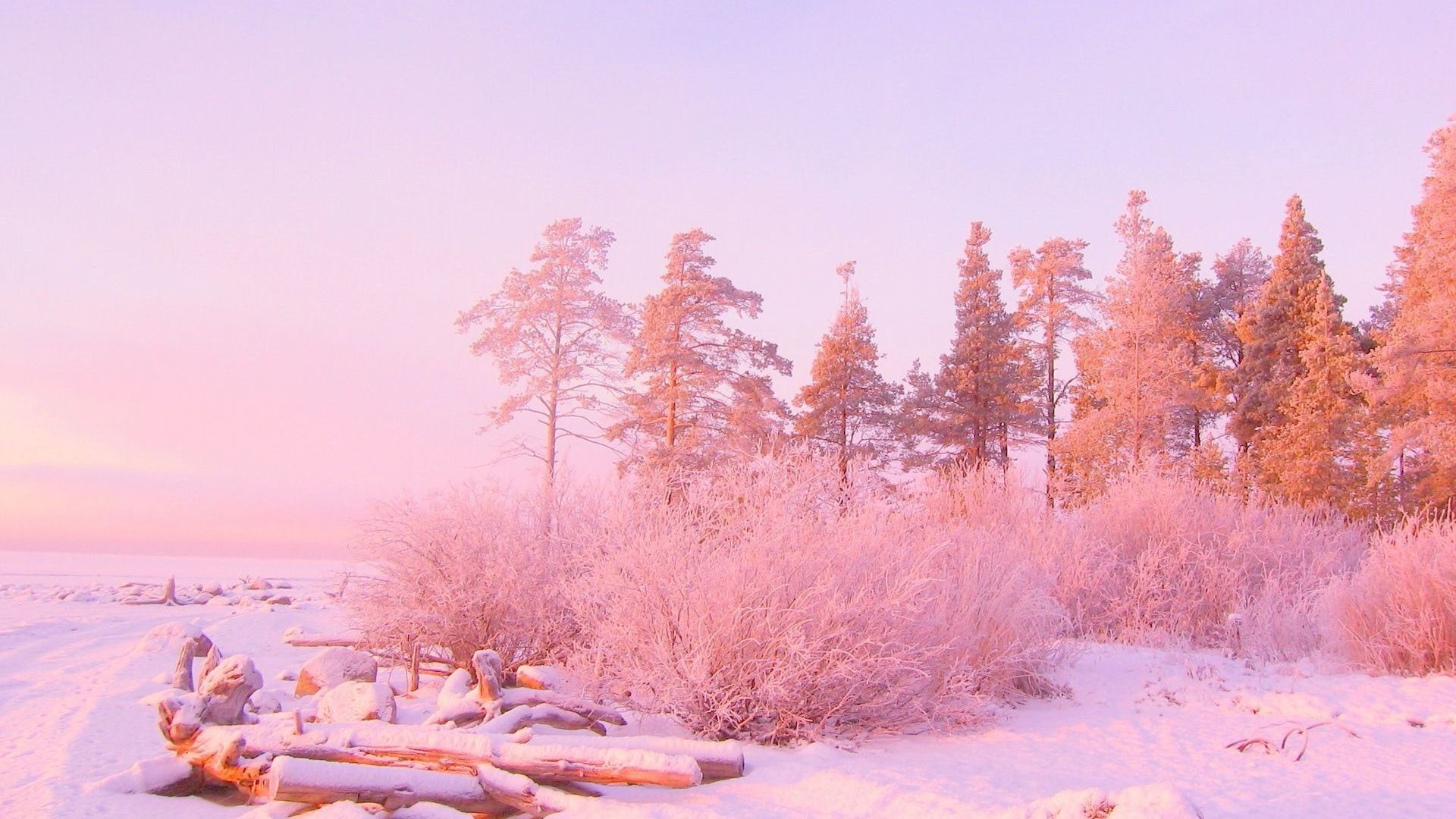 Aesthetic Pink Desktop Wallpaper On
