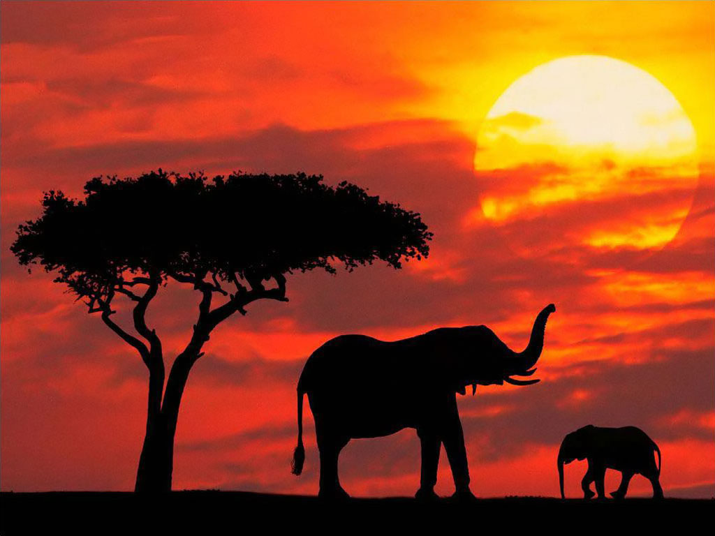 Love The Colours In This Sunset Africa Is Known For Having
